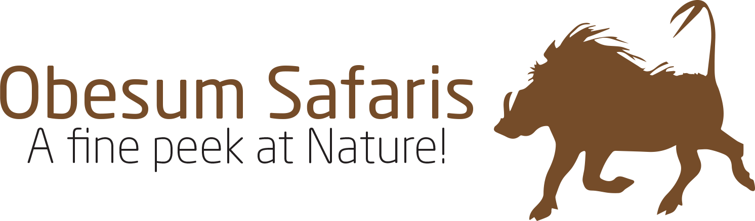 Obesum Safaris